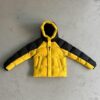 Yellow Decoded Arch Puffer